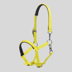 Millie foal halter HKM adjustable - FOOLFASHION.ch