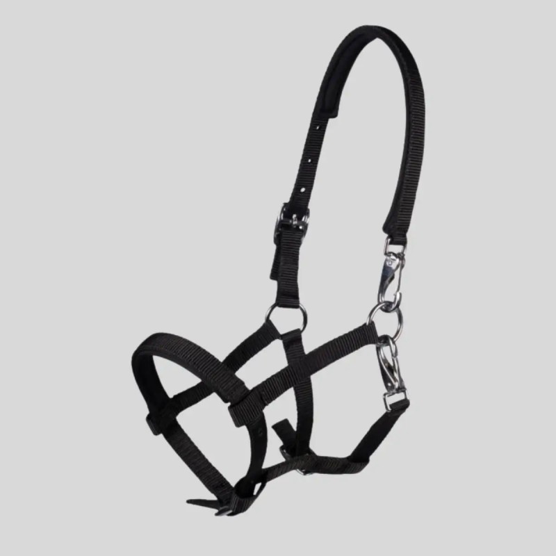 Millie foal halter HKM adjustable - FOOLFASHION.ch