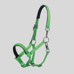 Millie foal halter HKM adjustable - FOOLFASHION.ch