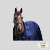 AF SPORT drying fleece blanket for horses