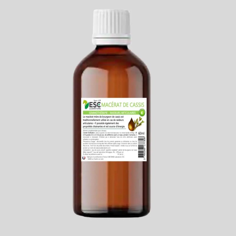 Schwarze Johannisbeere Knospenmazerat bio - Gemmotherapie Pferd