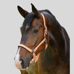 Ergonomic, padded halter Waldhausen Athletic
