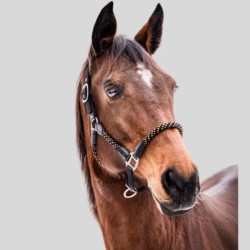 Halter HKM NeonFlash padded adjustable | Horse equipment