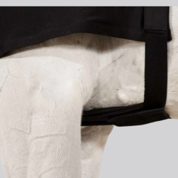 Chest protector Eskadron DynAirMesh - Protects your horse