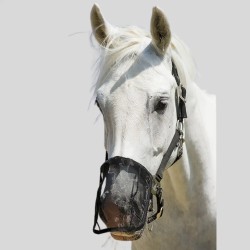 Mesh fly screen for horses