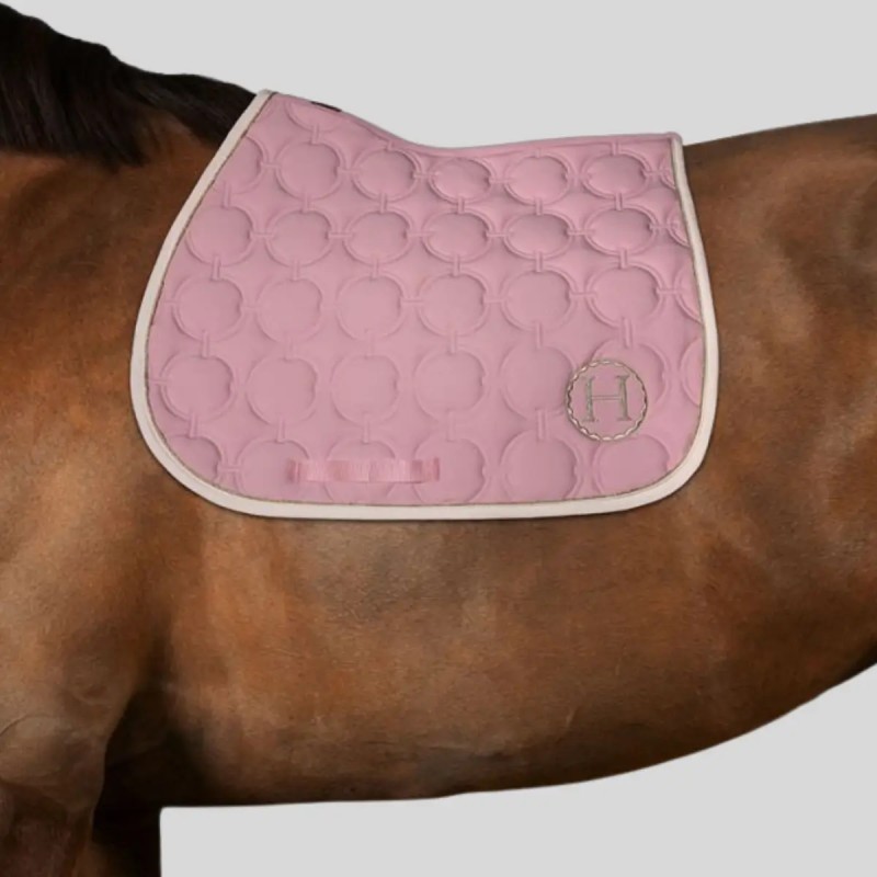 HARCOUR Wimpel - Satteldecke Limited Edition