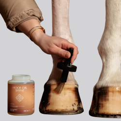 Shine Kentucky Huföl - Fußpflege für Pferde