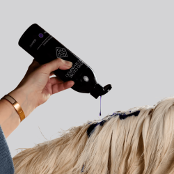 KENTUCKY Shampoing Mauve à l’Amande