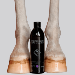 Malven-Mandel-Shampoo für weiße Pferde | KENTUCKY