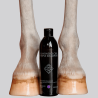 Malven-Mandel-Shampoo für weiße Pferde | KENTUCKY