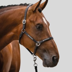 Elegant leather halter HKM with sparkle stones