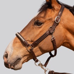 Leather halter Pénélope Harmonie black | Strass and saddle stitch