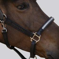 Leather halter Pénélope Harmonie black | Strass and saddle stitch