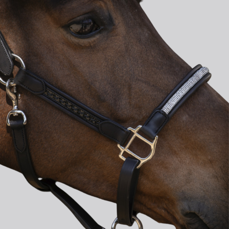 Leather halter Pénélope Harmonie black | Strass and saddle stitch