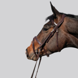 VIKTORY Emerald leather bridle - Equestrian elegance