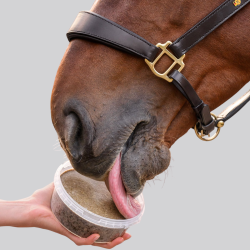 Licking tray Waldhausen for horses - StableSnack herbes naturelles