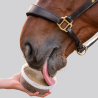 Licking tray Waldhausen for horses - StableSnack herbes naturelles