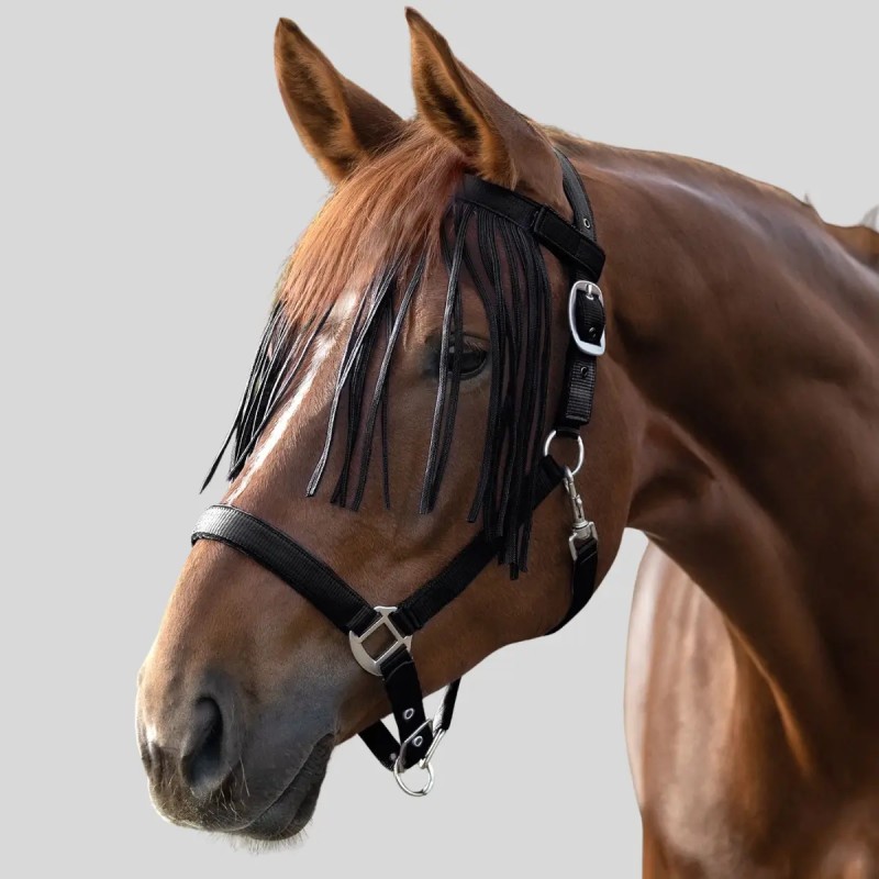 Fringed browband WALDHAUSEN | Foolfashion