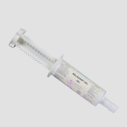 NUTRAGILE Entspannend MG Spritze
