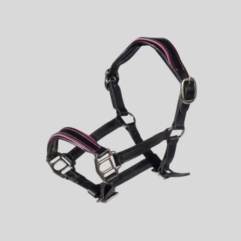 HKM Licol en cuir Manchester Hobby Horsing