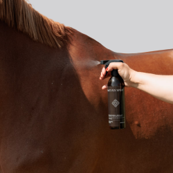 KENTUCKY Spray Anti-mouches