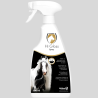 Mane and tail shine spray 500ml - High shine detangler