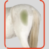 Hi Gloss Clean cleaning spray 500 ml - Care for horses without washing