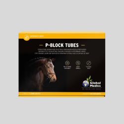 GLOBAL MEDICS P-Block 6x60g Seringue