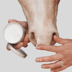 Grooming Deluxe Horse Sun Cream SPF 30+ - Long-lasting protection