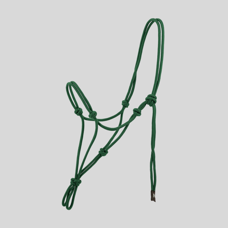 NORTON Licol éthologique Nylon