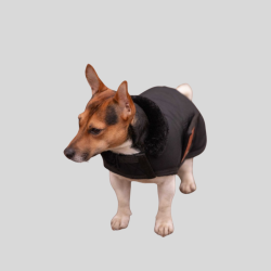 PADDOCK SPORTS Couverture pour chien