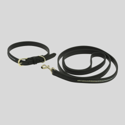 EQUITHÈME Collier + Laisse pour chien Max