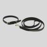 EQUITHÈME Collier + Laisse pour chien Max