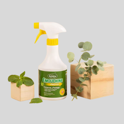 RAVENE Emouchine 500ml