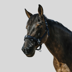 EQUITHEME Protection de nez anti-UV