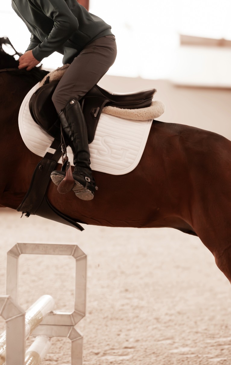 Cavalier en mixte noir et bottes hautes saute un obstacle sur un cheval brun, selle blanche et tapis gris clair, en extérieur indoor.