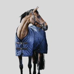 Cheval en image porte une couverture bleue Kentucky, détails sur le harnais et le côté gauche visible dans un cadre neutre.