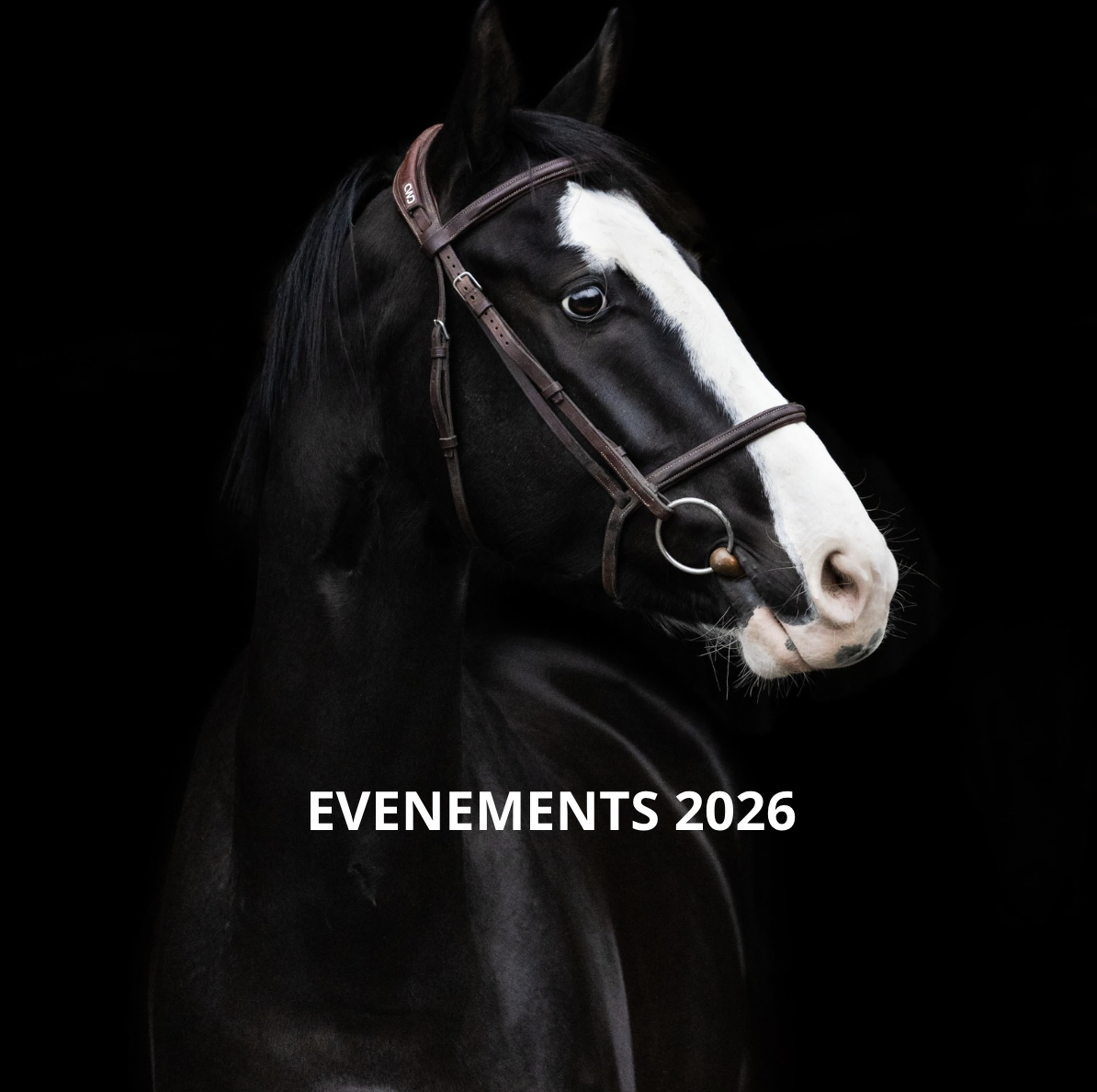 Ventes extérieures foolfashion 2026 : dates et calendrier